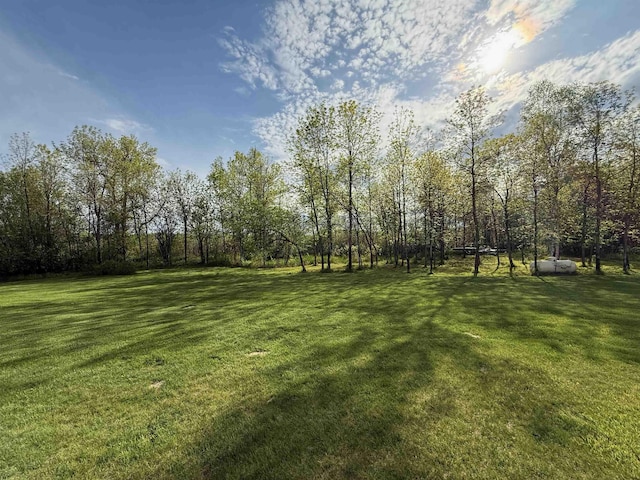 20 Mulberry Ln, Babbitt, MN 55731 - view of grassy yard