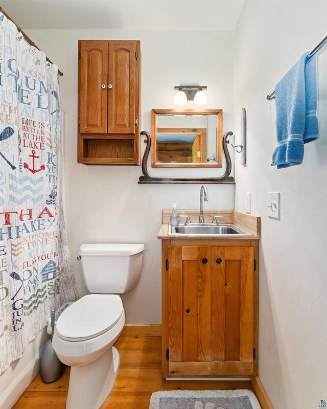 204 E Deeryard Rd, Grand Marais, MN 55604 - bathroom with vanity, wood finished floors, toilet, and baseboards