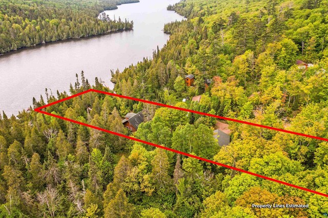 204 E Deeryard Rd, Grand Marais, MN 55604 - aerial view of property and surrounding area with a heavily wooded area, a nearby body of water, and property boundaries highlighted