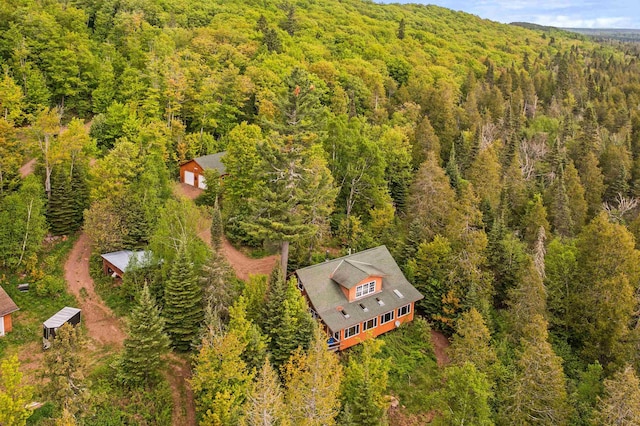 204 E Deeryard Rd, Grand Marais, MN 55604 - view of subject property with a forest