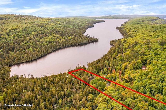 204 E Deeryard Rd, Grand Marais, MN 55604 - aerial view of property's location with a heavily wooded area, a nearby body of water, and property parcel outlined