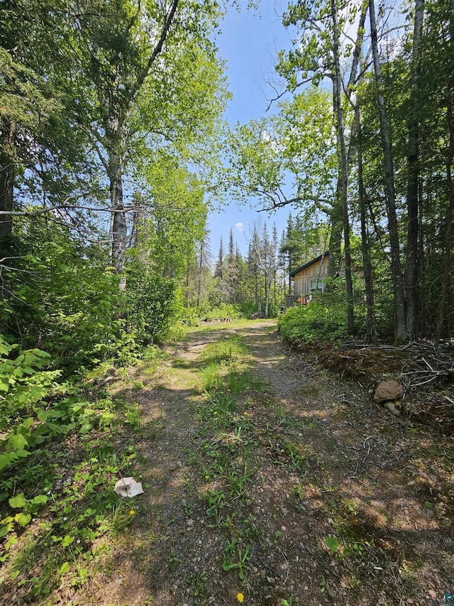 839 Loon Rd, Two Harbors, MN 55616 - view of yard