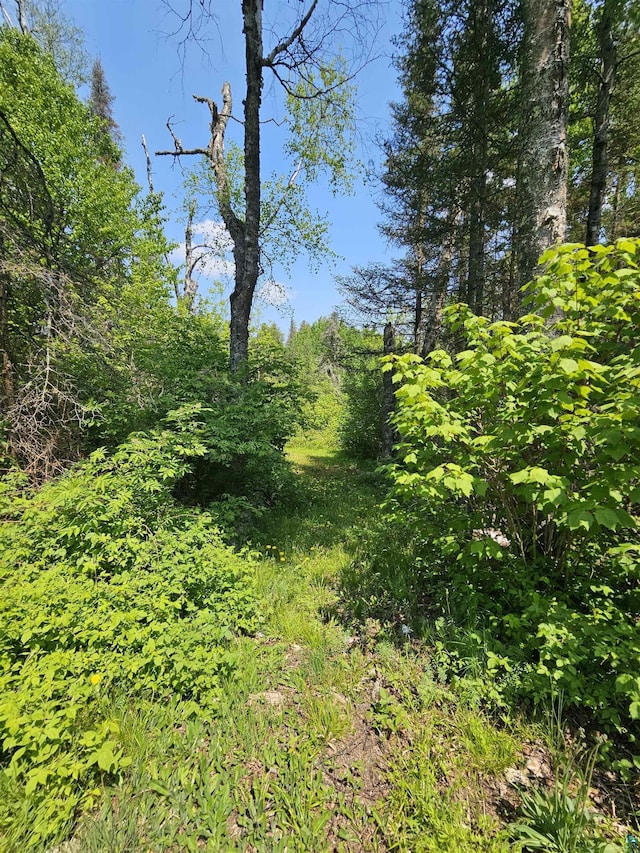 839 Loon Rd, Two Harbors, MN 55616 - view of woods