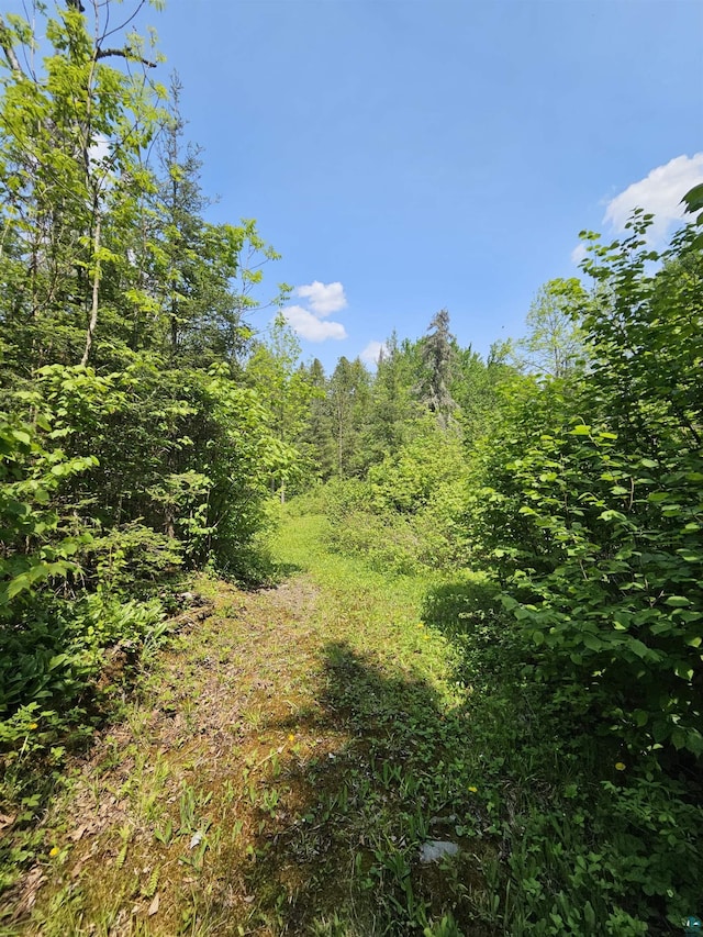 839 Loon Rd, Two Harbors, MN 55616 - view of tree filled area