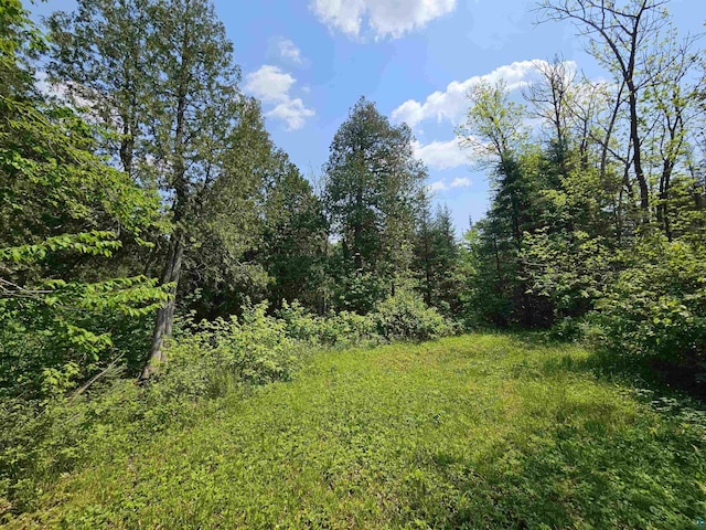 839 Loon Rd, Two Harbors, MN 55616 - view of tree filled area