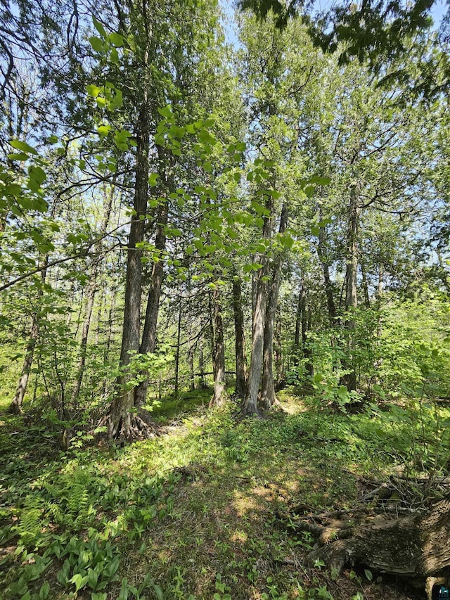 839 Loon Rd, Two Harbors, MN 55616 - view of nature