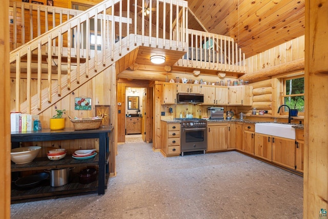 1543 E Miners Lk, Ely, MN 55731 - kitchen with appliances with stainless steel finishes, a sink, high vaulted ceiling, rustic walls, and wood ceiling