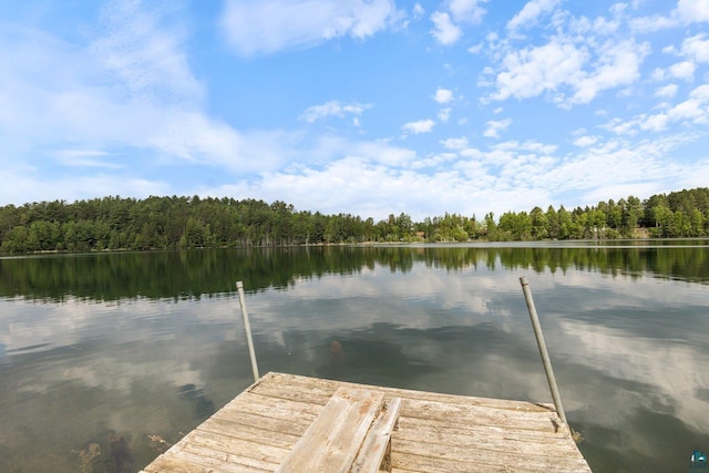 1543 E Miners Lk, Ely, MN 55731 - dock area with a forest view and a water view