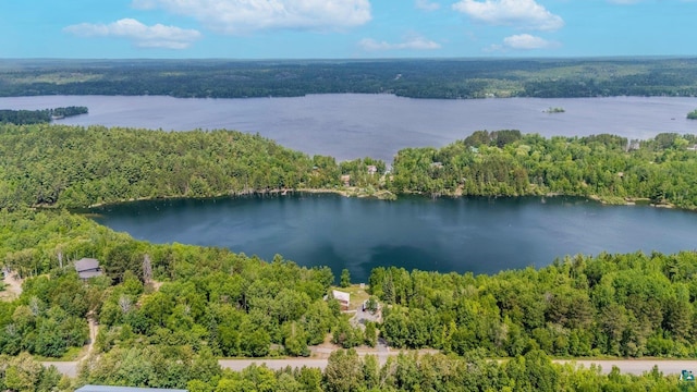 1543 E Miners Lk, Ely, MN 55731 - bird's eye view of a forest and a nearby body of water