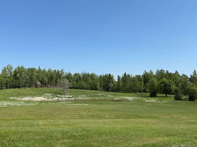 11391 Briski Rd, Chisholm, MN 44719 - view of grassy yard with a wooded view