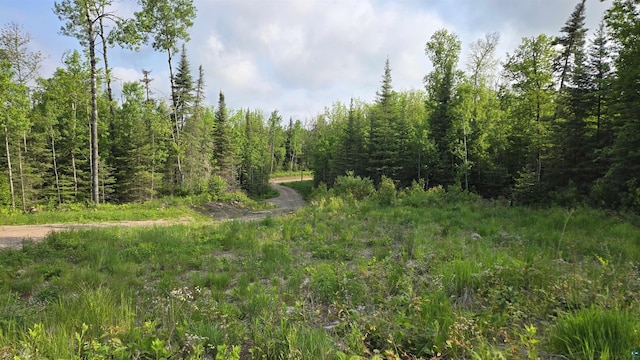 6466 County Rd 422, Buyck, MN 55771