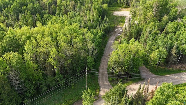6466 County Rd 422, Buyck, MN 55771