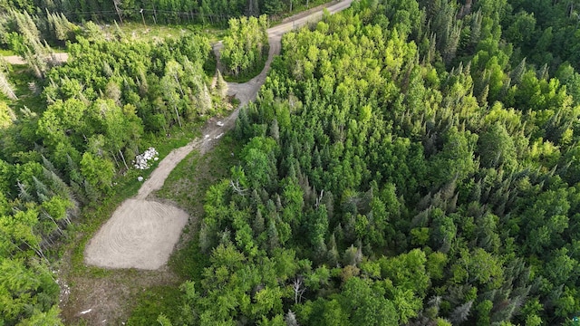 6466 County Rd 422, Buyck, MN 55771