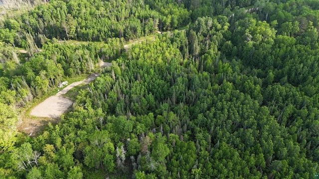 6466 County Rd 422, Buyck, MN 55771