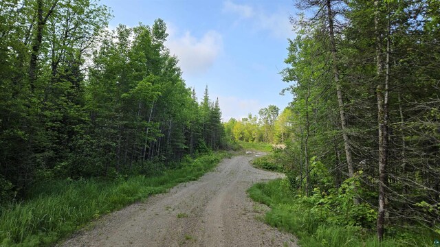 6466 County Rd 422, Buyck, MN 55771
