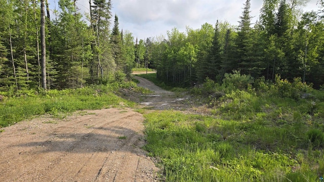 6466 County Rd 422, Buyck, MN 55771