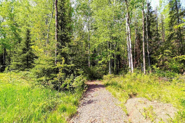 1682 Old N Shore Rd, Duluth, MN 55804 - view of road featuring a forest view