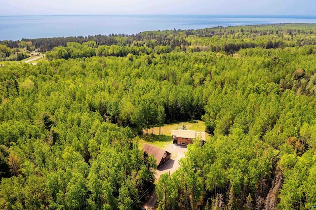 1682 Old N Shore Rd, Duluth, MN 55804 - view of subject property with a forest