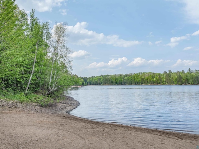 6076 Wynne Ridge Rd, Aurora, MN 55706 - water view featuring a heavily wooded area