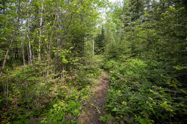 23 Senty Rd, Grand Marais, MN 55604 - view of wooded area