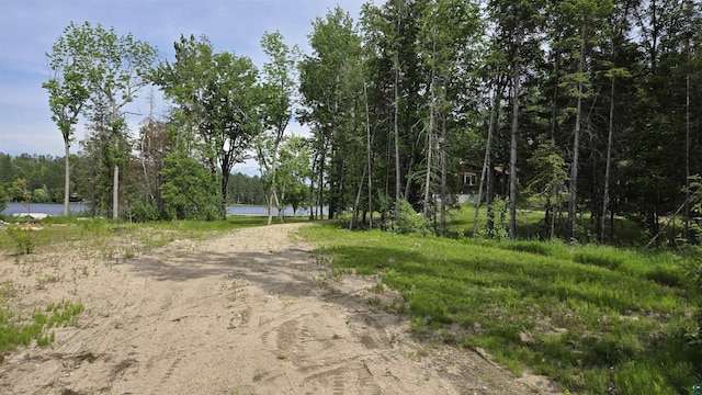 TBD.4 Bayside Dr, Crane Lake, MN 55725
