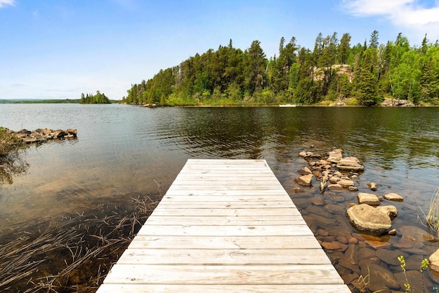 12157 Gunflint Trl, Grand Marais, MN 55604 - dock area with a water view