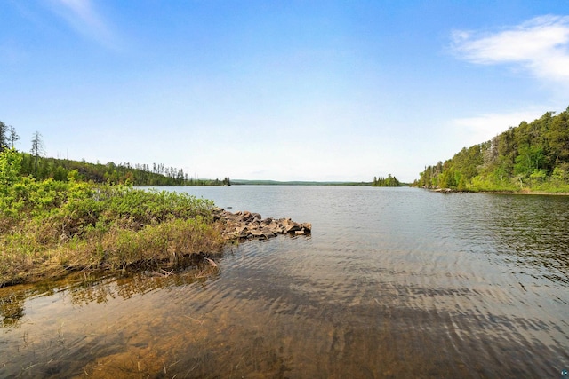 12157 Gunflint Trl, Grand Marais, MN 55604 - water view