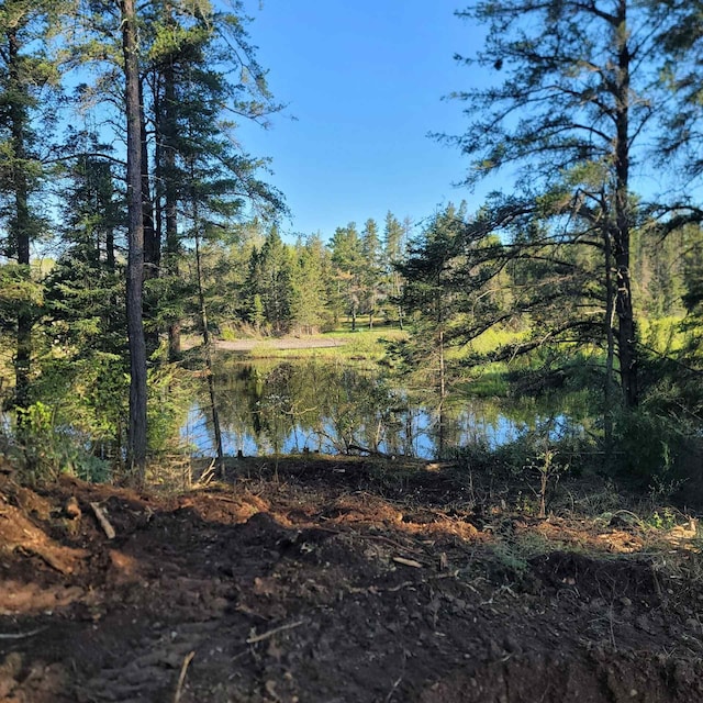 1519 Rollins Rd, Brimson, MN 55602