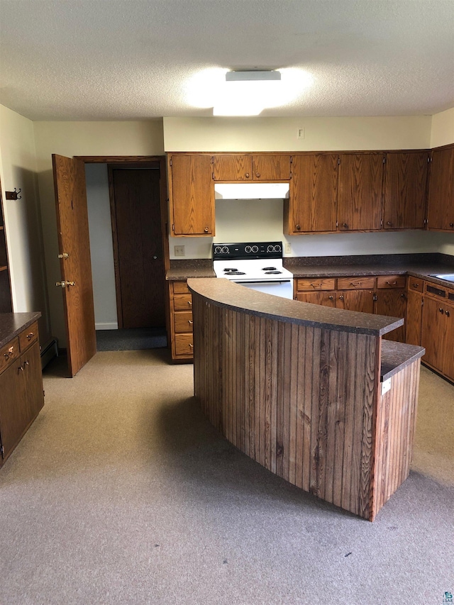 6509 Broadway St, Finlayson, MN 55735 - kitchen featuring white electric range, dark countertops, light colored carpet, baseboard heating, and under cabinet range hood