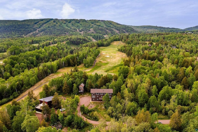 15 Big Cedar Trl, Lutsen, MN 55612 - bird's eye view of a forest and a mountain backdrop