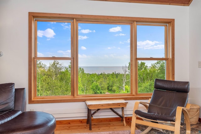 15 Big Cedar Trl, Lutsen, MN 55612 - sitting room with healthy amount of natural light, wood finished floors, and a water view
