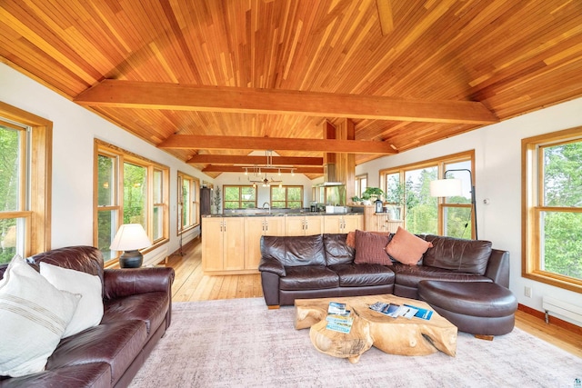 15 Big Cedar Trl, Lutsen, MN 55612 - living room featuring wooden ceiling and light wood finished floors