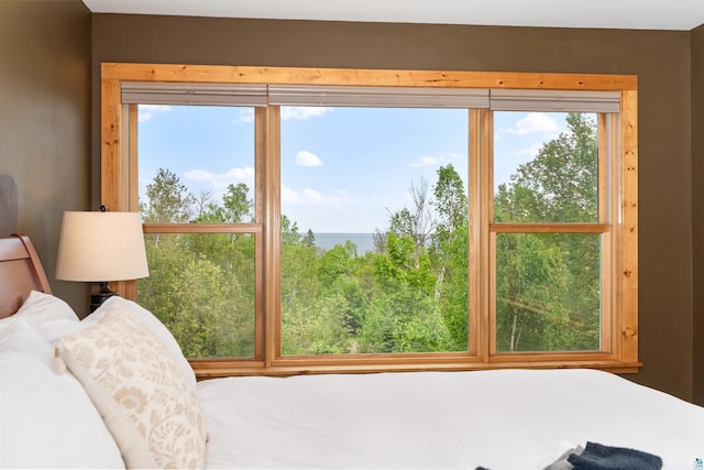 15 Big Cedar Trl, Lutsen, MN 55612 - bedroom with a water view