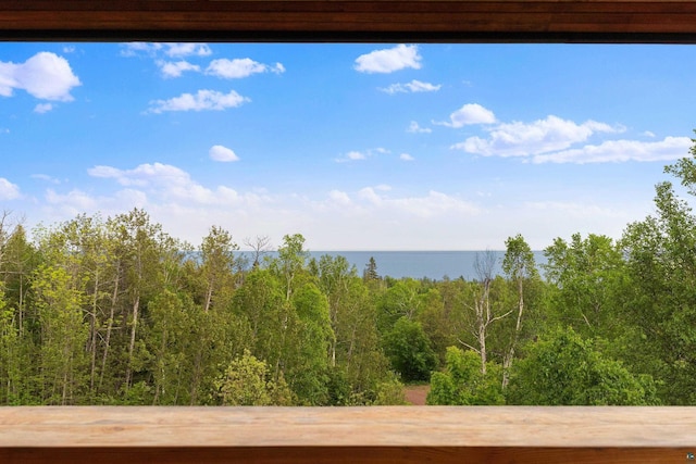 15 Big Cedar Trl, Lutsen, MN 55612 - water view featuring a heavily wooded area