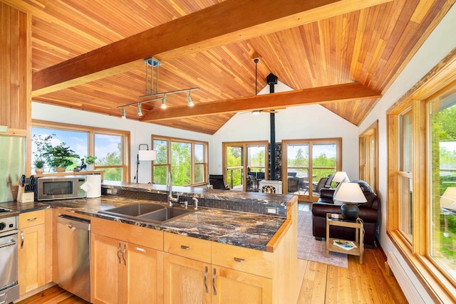 15 Big Cedar Trl, Lutsen, MN 55612 - kitchen featuring appliances with stainless steel finishes, a baseboard heating unit, wooden ceiling, and healthy amount of natural light