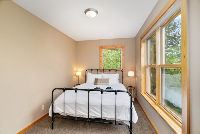 15 Big Cedar Trl, Lutsen, MN 55612 - bedroom featuring carpet floors and baseboards