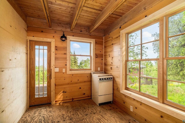 15 Big Cedar Trl, Lutsen, MN 55612 - entryway with wooden walls, a wooden ceiling with exposed beams, and wood finished floors