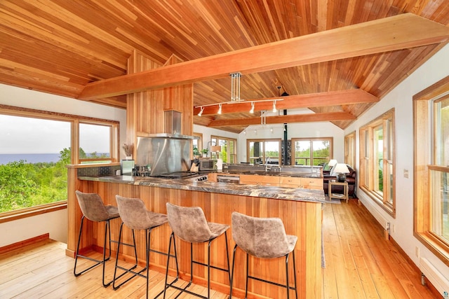15 Big Cedar Trl, Lutsen, MN 55612 - kitchen with a peninsula, appliances with stainless steel finishes, wood ceiling, wall chimney range hood, and light wood finished floors