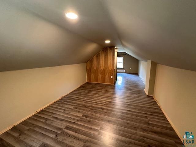 4623 Salo Rd, Embarrass, MN 55730 - bonus room with dark wood finished floors and lofted ceiling