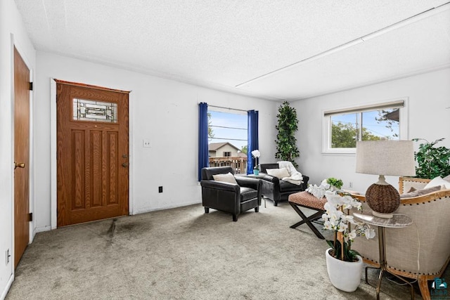 1155 Brainerd Ave, Duluth, MN 55803 - living room with carpet flooring and a textured ceiling