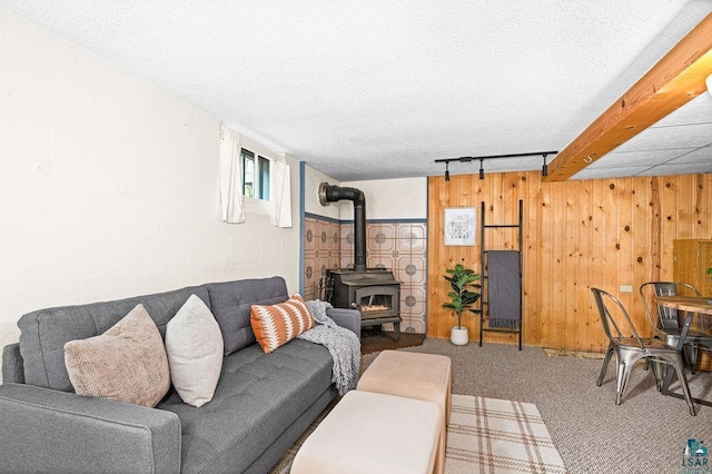 1410 N 7th Ave E, Duluth, MN 55805 - living room with a wood stove, carpet, wooden walls, rail lighting, and a textured ceiling