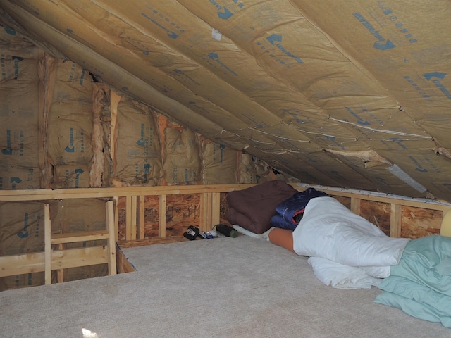 3X Skye Rdg, Grand Marais, MN 55604 - view of unfinished attic
