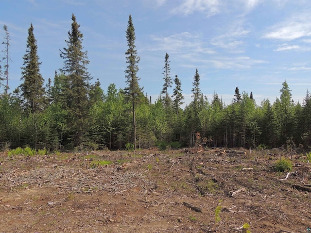 3X Skye Rdg, Grand Marais, MN 55604 - view of woods