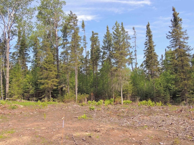 3X Skye Rdg, Grand Marais, MN 55604 - view of woods