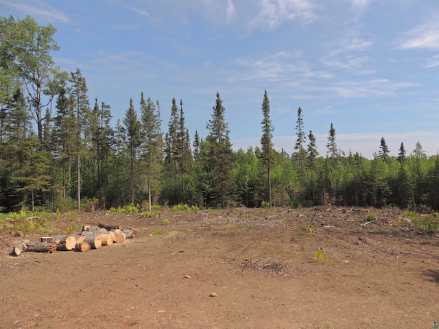 3X Skye Rdg, Grand Marais, MN 55604 - view of woods