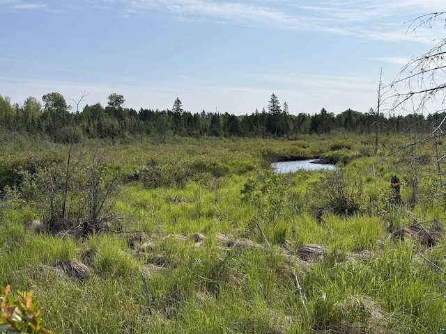 3X Skye Rdg, Grand Marais, MN 55604 - view of woods
