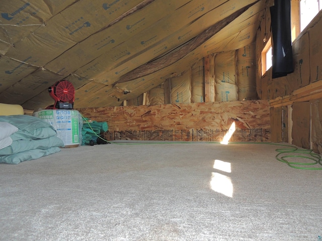 3X Skye Rdg, Grand Marais, MN 55604 - view of unfinished attic