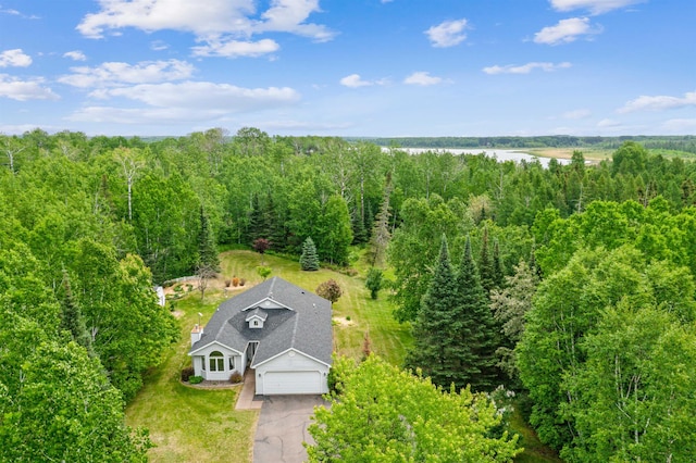 5948 Lavaque Rd, Duluth, MN 55803 - view of subject property featuring a forest and a large body of water