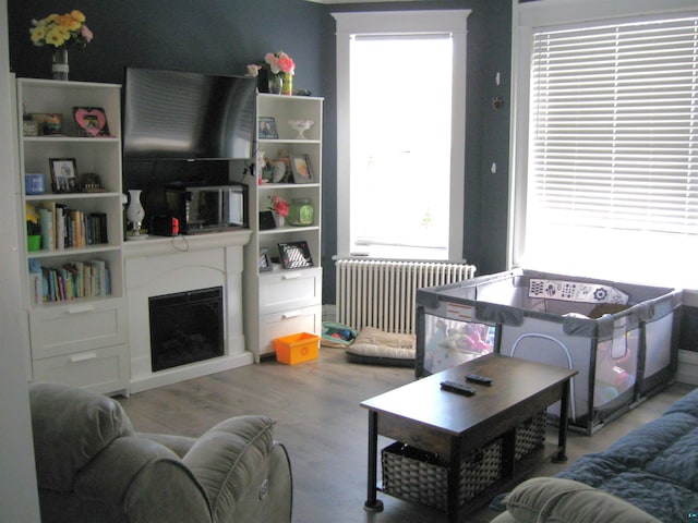 627 4th St, Proctor, MN 55810 - living room featuring radiator, a fireplace, and wood finished floors