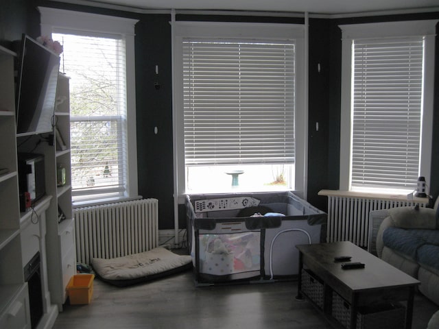 627 4th St, Proctor, MN 55810 - living area with radiator, healthy amount of natural light, and wood finished floors